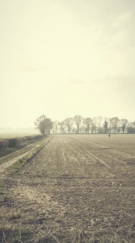 Powdered Sky applied to field mist