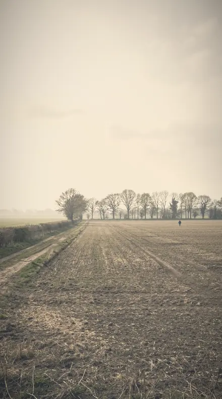 Smoke Garden applied to field mist