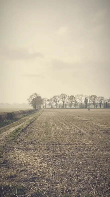 Tender Distance applied to field mist