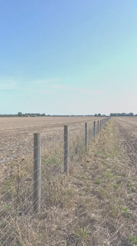 Constant Sun applied to field fence