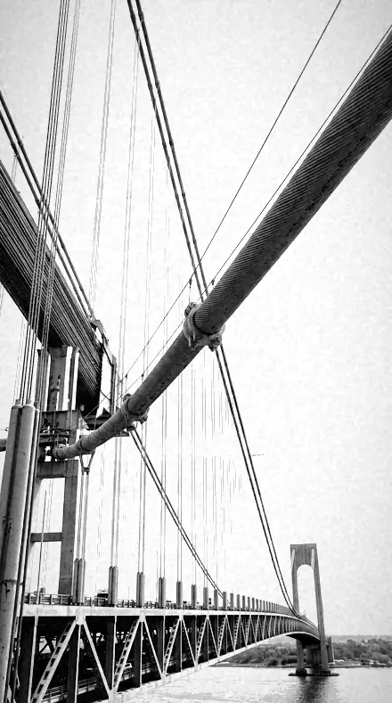Leaf Bloom applied to bridge cables