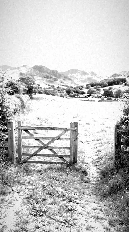 Leaf Bloom applied to farm gate