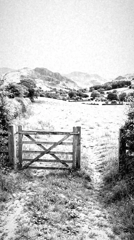 Chlorophyll Glow applied to farm gate