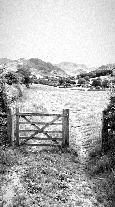 Bright Hedge applied to farm gate