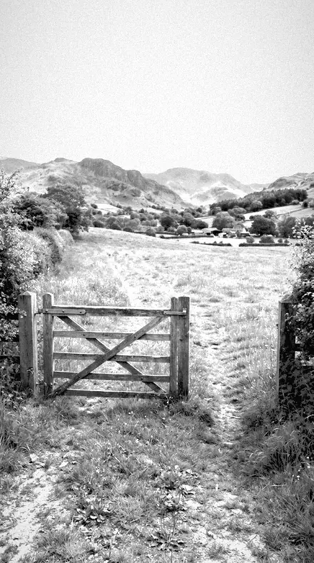 False Tone applied to farm gate
