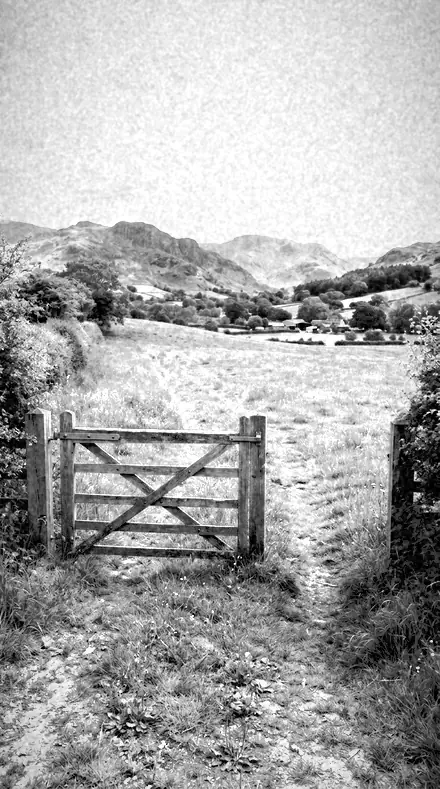 Willow Bright applied to farm gate