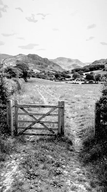 Skyline Cut applied to farm gate