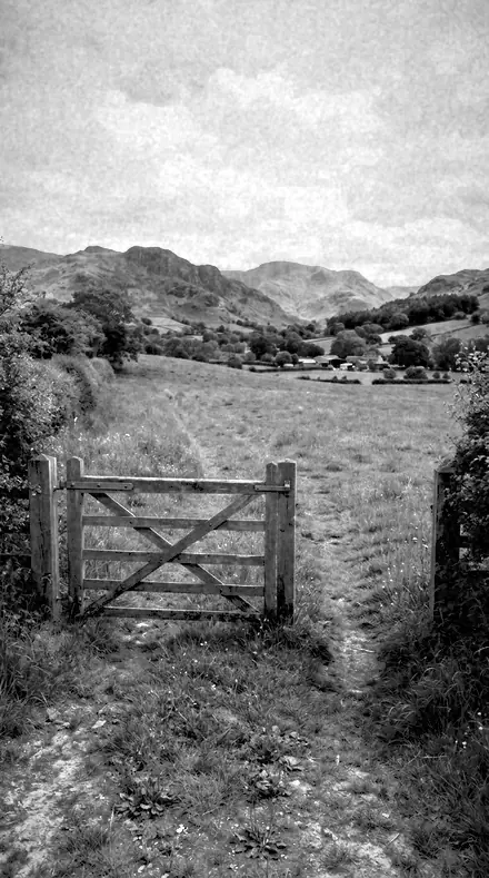 Pine Stand applied to farm gate