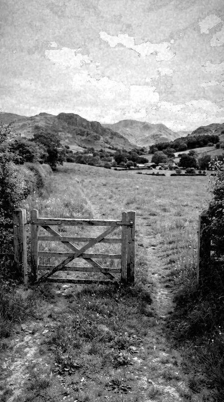 Drystone Wall applied to farm gate