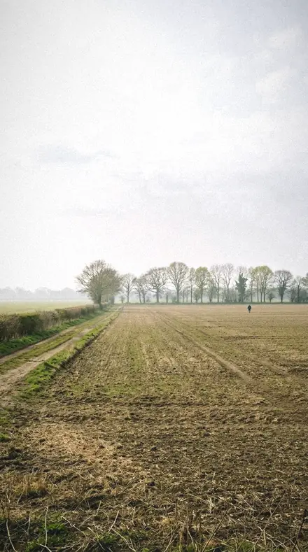 Leaf Sweat applied to field mist