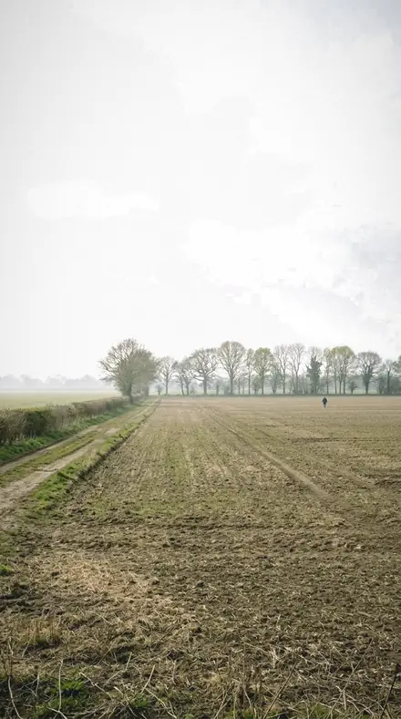 Milky Sky applied to field mist