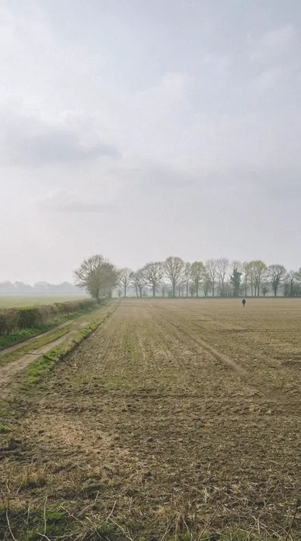 Vapour Light applied to field mist