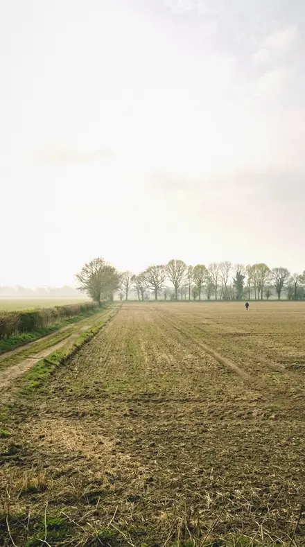 Jungle Damp applied to field mist