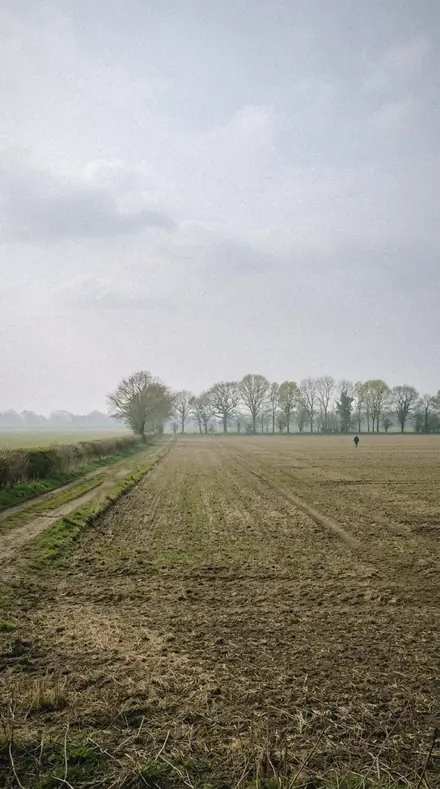 Leaf Sap applied to field mist