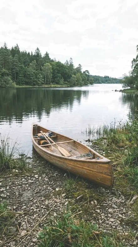 Forest Damp applied to lake canoe