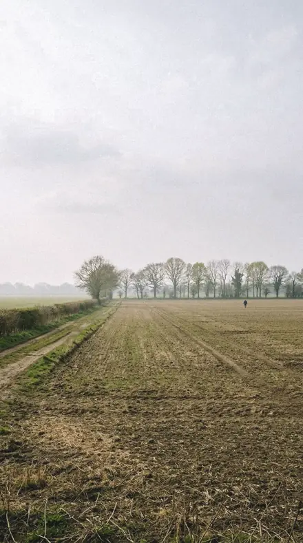 Overhead Sun applied to field mist