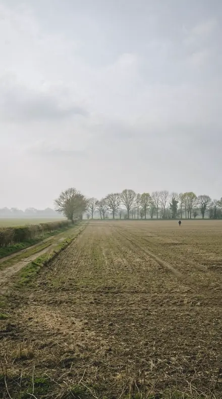 Lagoon Haze applied to field mist