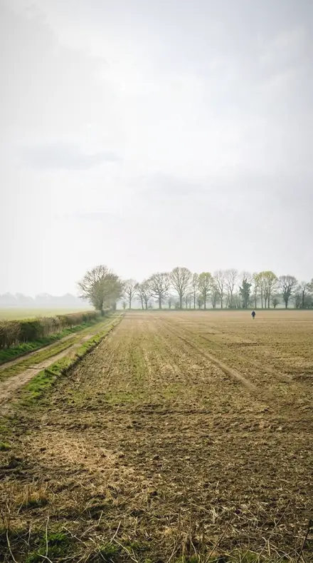 Vertical Sun applied to field mist