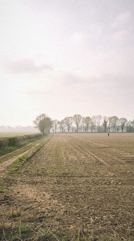 Humid Shade applied to field mist