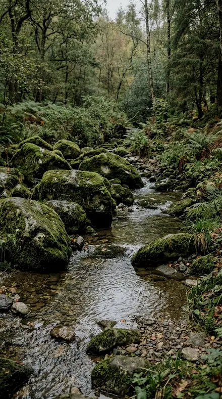 Deep Canopy applied to Rain-wet moss, alive