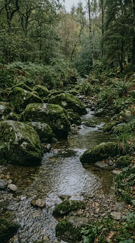 Emerald Hollow applied to Rain-wet moss, alive