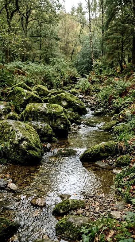 Trailhead applied to Rain-wet moss, alive