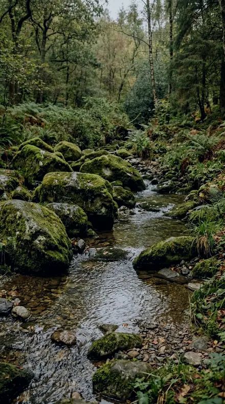 Wet Stone applied to Rain-wet moss, alive