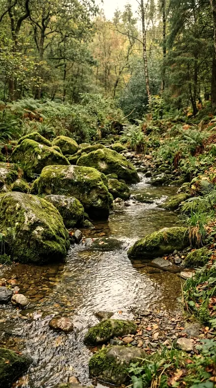 Lightfall applied to Rain-wet moss, alive