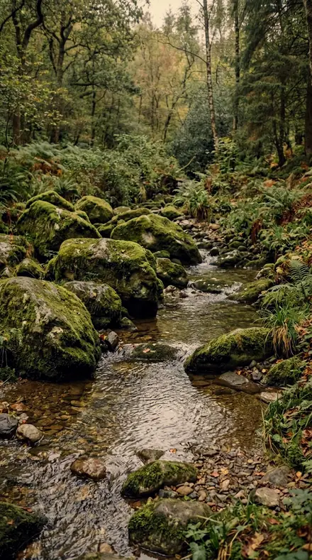 Amber Understory applied to Rain-wet moss, alive