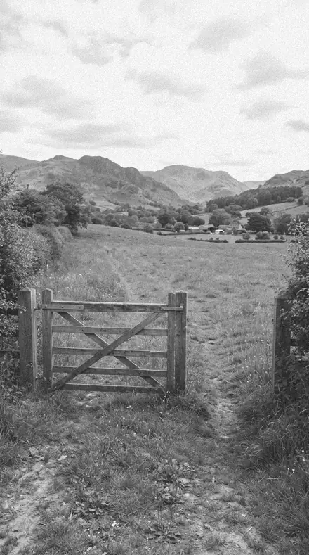 Fogwood applied to The gate, the field, the green done right