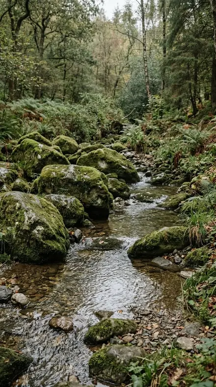 Before: Rain-wet moss, alive