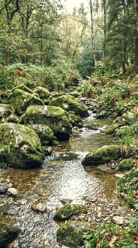 Herd Track applied to moss rocks