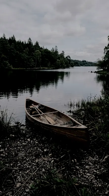 Limb Detail applied to lake canoe