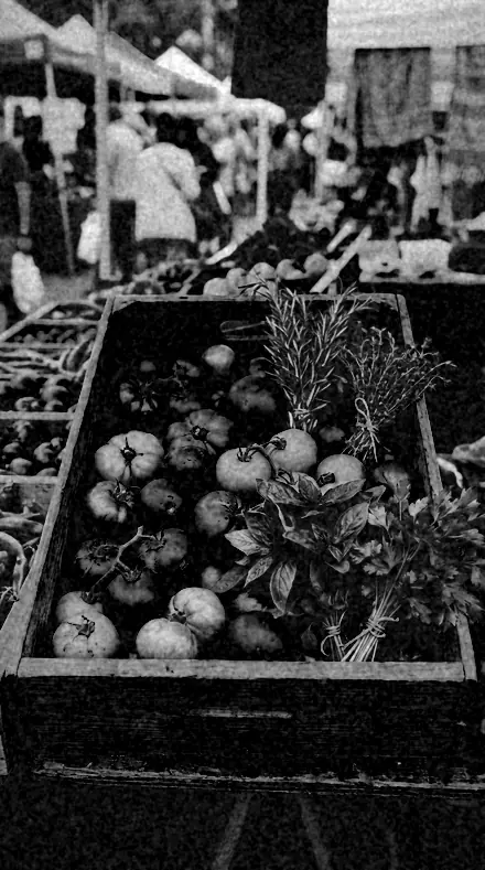 Ortho Plate applied to market produce