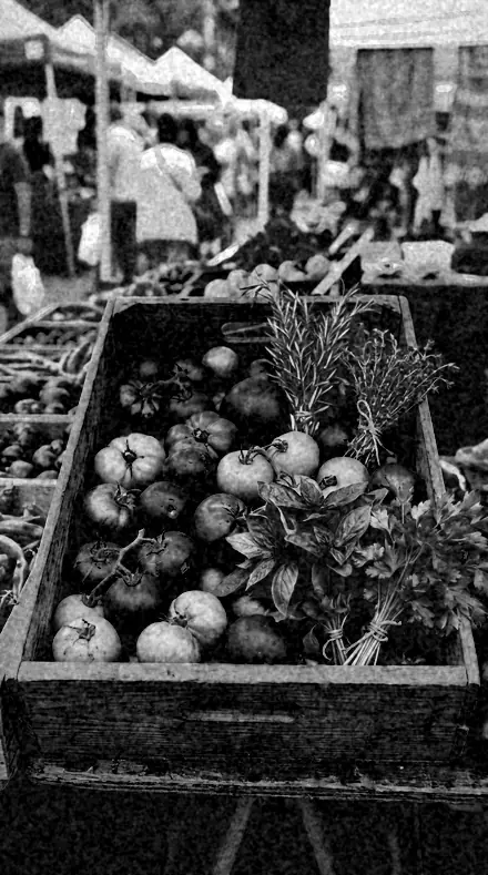 Plate Camera applied to market produce