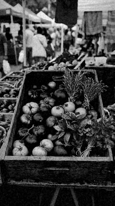 Portrait Plate applied to market produce