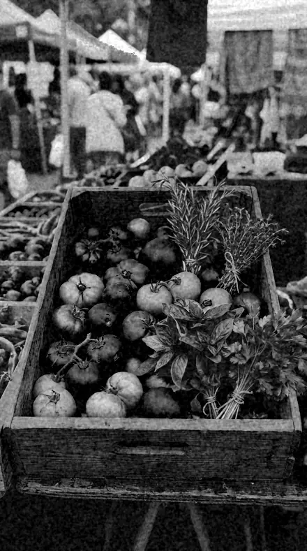 Cyan Bright applied to market produce