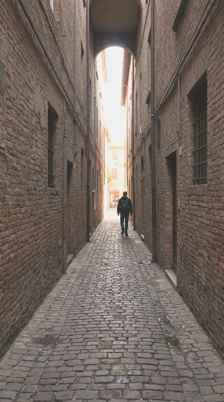 Guava Flesh applied to alley lines