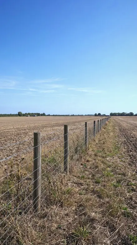 Airless Noon applied to field fence