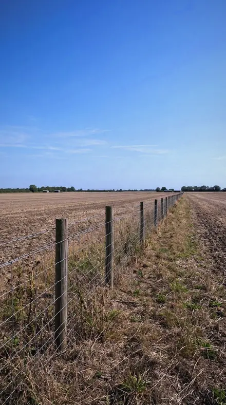 Scree Field applied to field fence