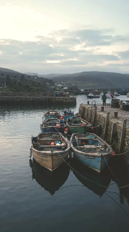 Honey Latitude applied to Morning boats, before the harbour woke.