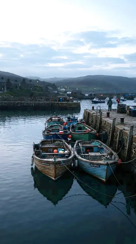 Salt Line applied to Morning boats, before the harbour woke.