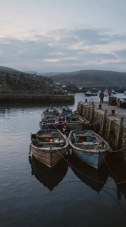 Terra Route applied to Morning boats, before the harbour woke.