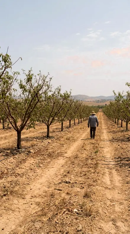 Terracotta Wall applied to Orchard light, warm to the last row