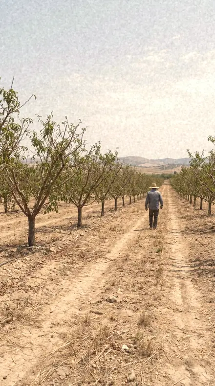 Ember Reel applied to Orchard light, warm to the last row