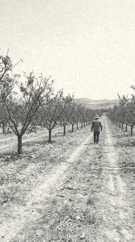 Ash Bloom applied to Orchard light, warm to the last row