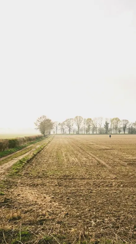 White Drift applied to field mist