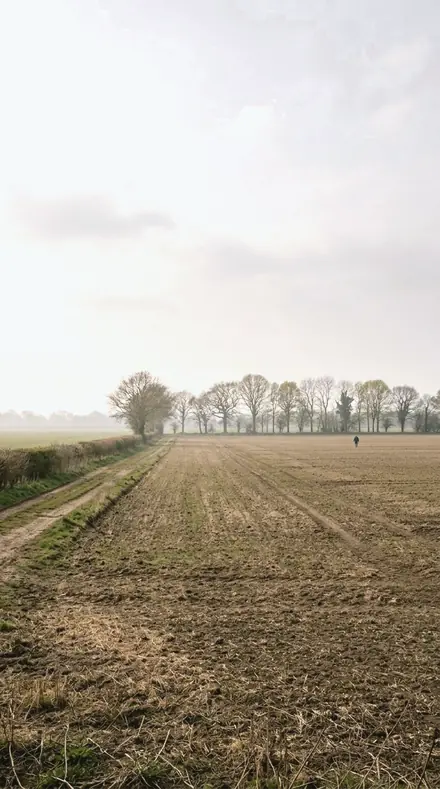 Frost Field applied to field mist