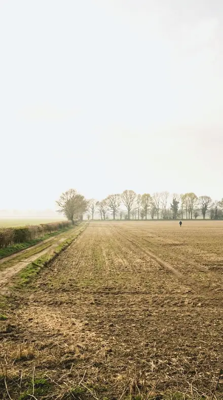 Cold Powder applied to field mist