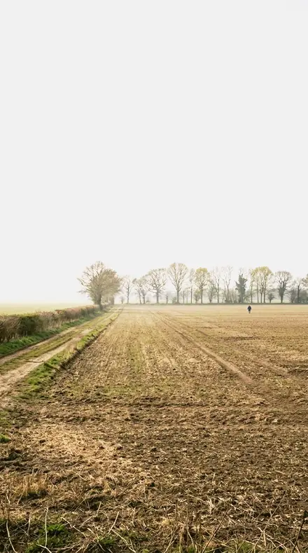 Ice Plain applied to field mist